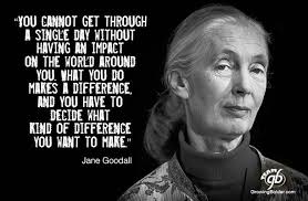 Jane Goodall Jane Goodall