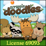License 