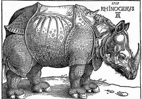 Durer Rhino  
