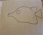 draw 
