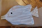 white fish 