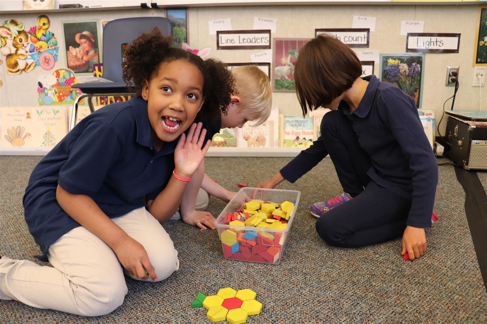 Equity and Access