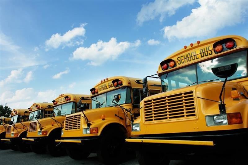 school buses school buses