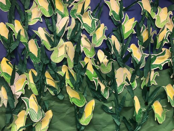 1st Grade Musical Corn